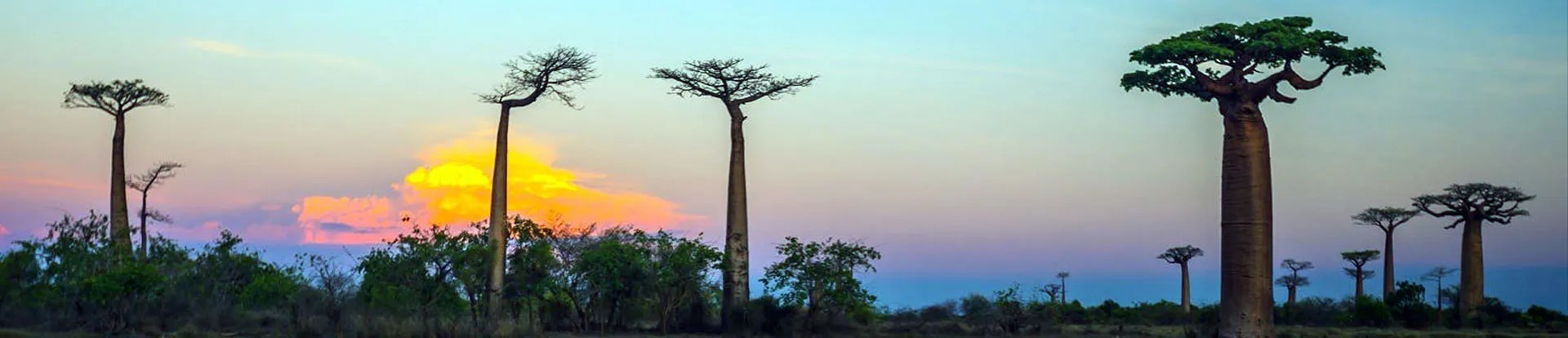Madagascar: diagnostic of inclusive inurance & risk finance