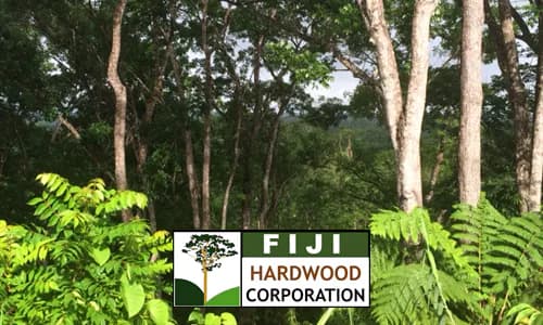Sustainable Forestry: Fiji