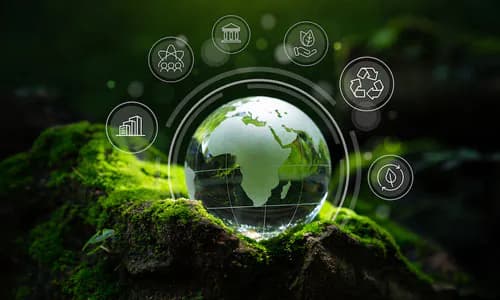 Sustainable Forestry: Fiji
