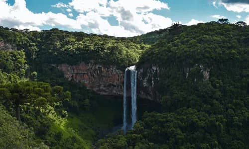 Sustainable Forestry: Fiji