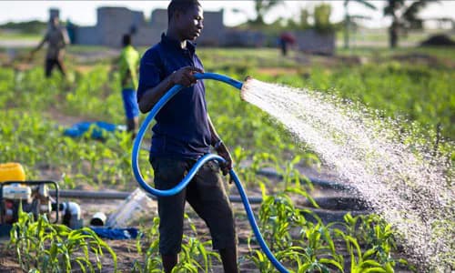 Agri Insurance: Ghana