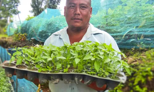 Micro Insurance : Bhutan