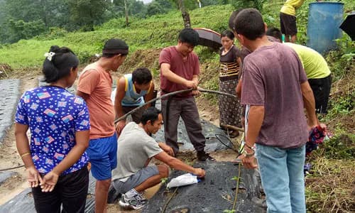 Micro Insurance : Bhutan