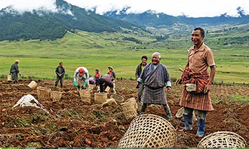 Micro Insurance : Bhutan