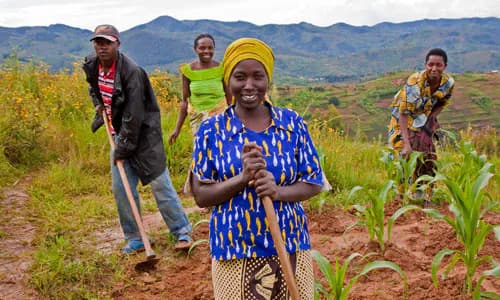 Agricultural Insurance: Ghana