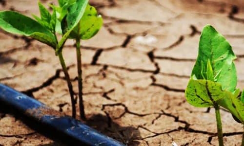 Agricultural Insurance: Ghana