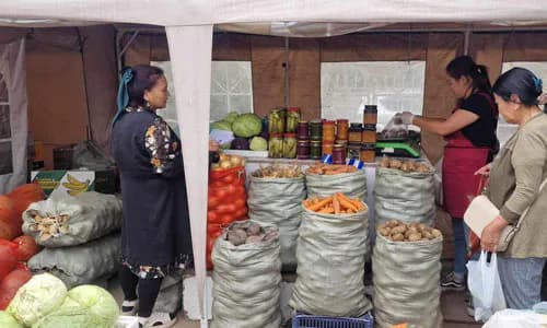 Inclusive Microinsurance: Mongolia
