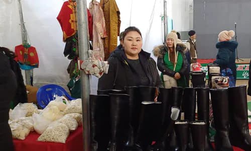 Inclusive Microinsurance: Mongolia