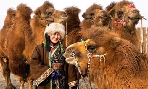 Inclusive Microinsurance: Mongolia