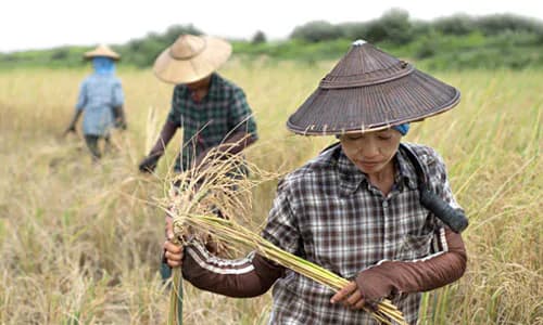 Access to Finance: Myanmar