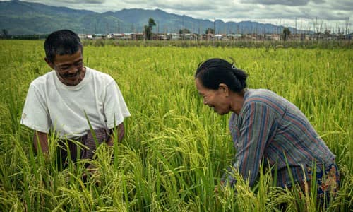 Access to Finance: Myanmar