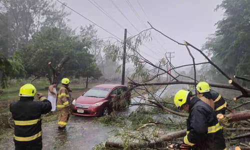 Disaster Risk Financing: Samoa