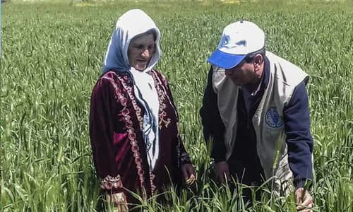 Community Microfinance: Syria