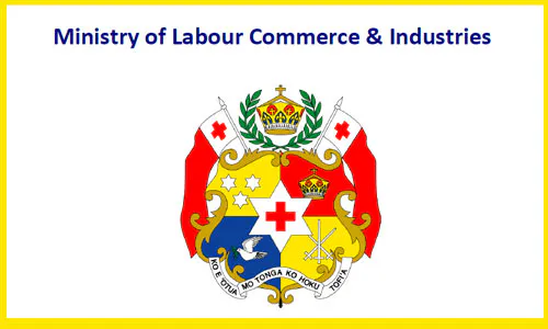 Government Restructuring: Tonga