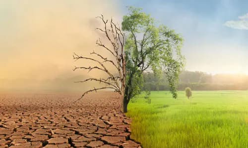 Nigeria: Inclusive Insurance and Risk