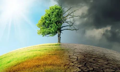 Nigeria: Inclusive Insurance and Risk