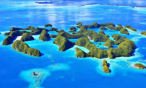 Micronesia: Priavtising Fisheries