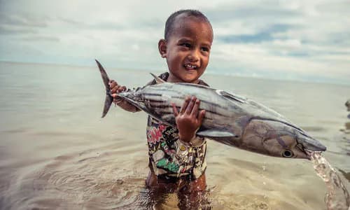 Micronesia: Priavtising Fisheries