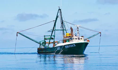 NZ: Embedding Indigenous Rights in Resource Allocation