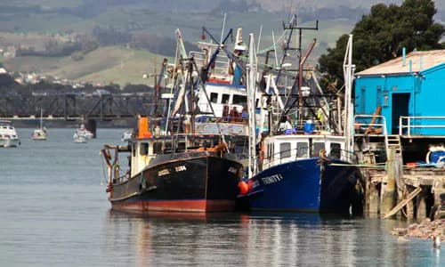 NZ: Embedding Indigenous Rights in Resource Allocation