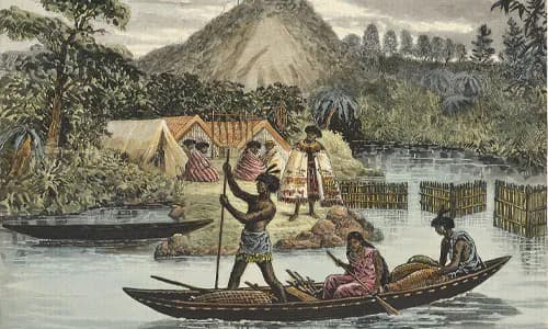 NZ: Embedding Indigenous Rights in Resource Allocation