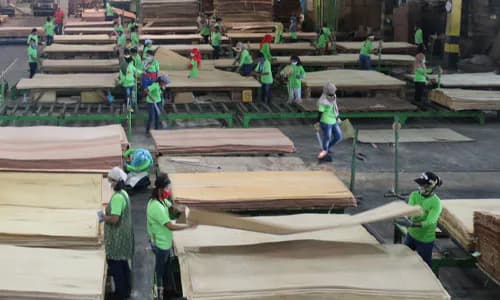 Yapen Island, Indonesia: conflict resolution and forestry resource reform