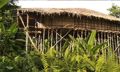 Yapen Island, Indonesia: conflict resolution and forestry resource reform