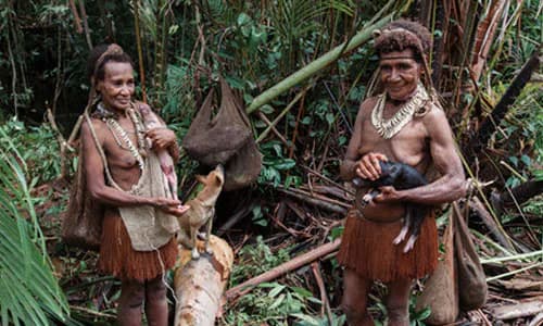 Yapen Island, Indonesia: conflict resolution and forestry resource reform
