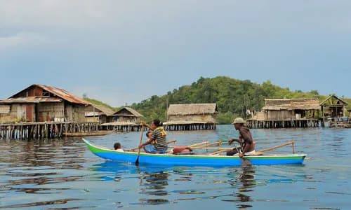 Yapen Island, Indonesia: conflict resolution and forestry resource reform