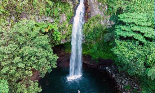Fiji: agricultural insurance in the pacific islands