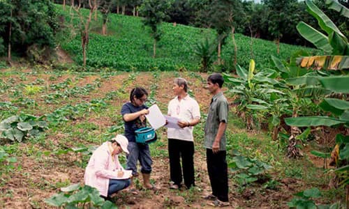 Thailand: inclusive agricultural insurance