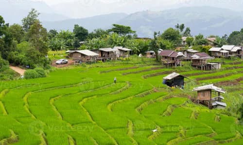 Thailand: inclusive agricultural insurance
