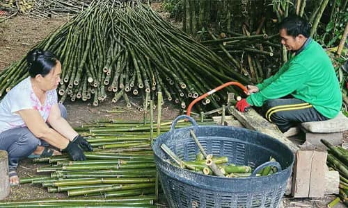 Thailand: inclusive agricultural insurance