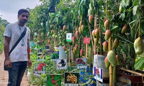 Thailand: inclusive agricultural insurance