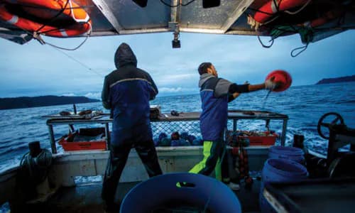 NZ: Accountability in Fisheries Research