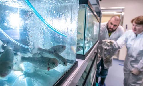 NZ: Accountability in Fisheries Research