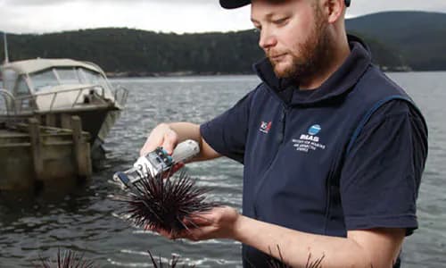 NZ: Accountability in Fisheries Research