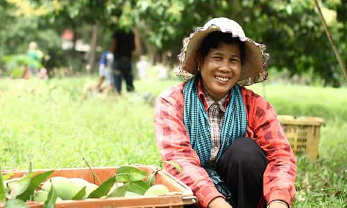 Cambodia: Embedding ESG Principles in the Financial Sector