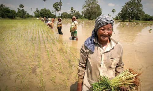 Cambodia: Embedding ESG Principles in the Financial Sector